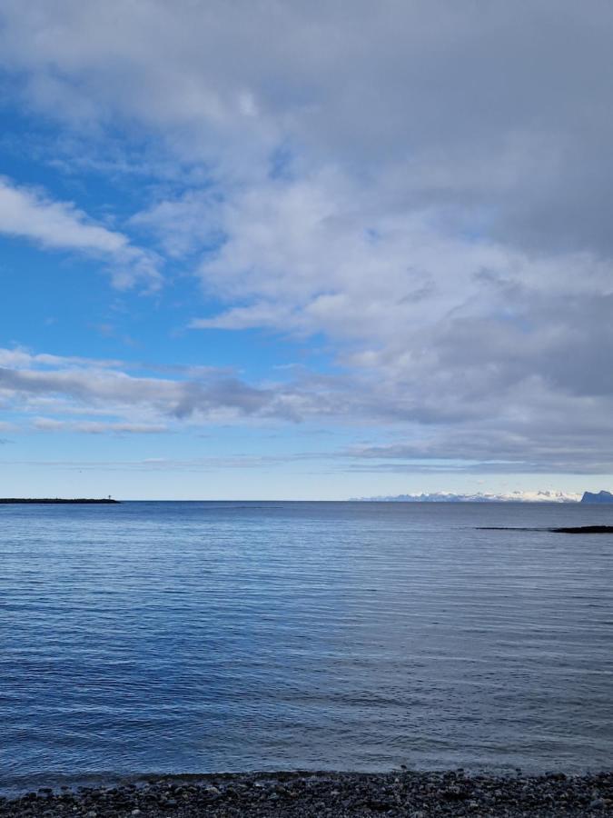 Roligheten Lodge In Andenes Kültér fotó